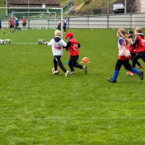 Fotogalerie Trainingslager 2026
