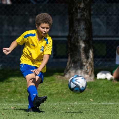 Fotogalerie Landesmeisterschaften / Kinderfussballfest 2026