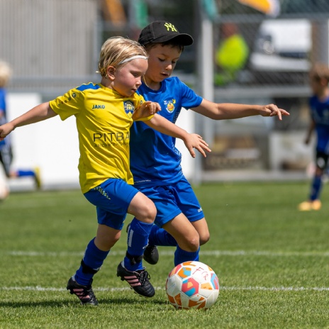 Fotogalerie Landesmeisterschaften / Kinderfussballfest 2026